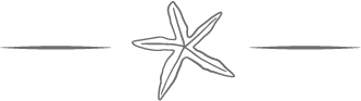 Marooned Series star divider